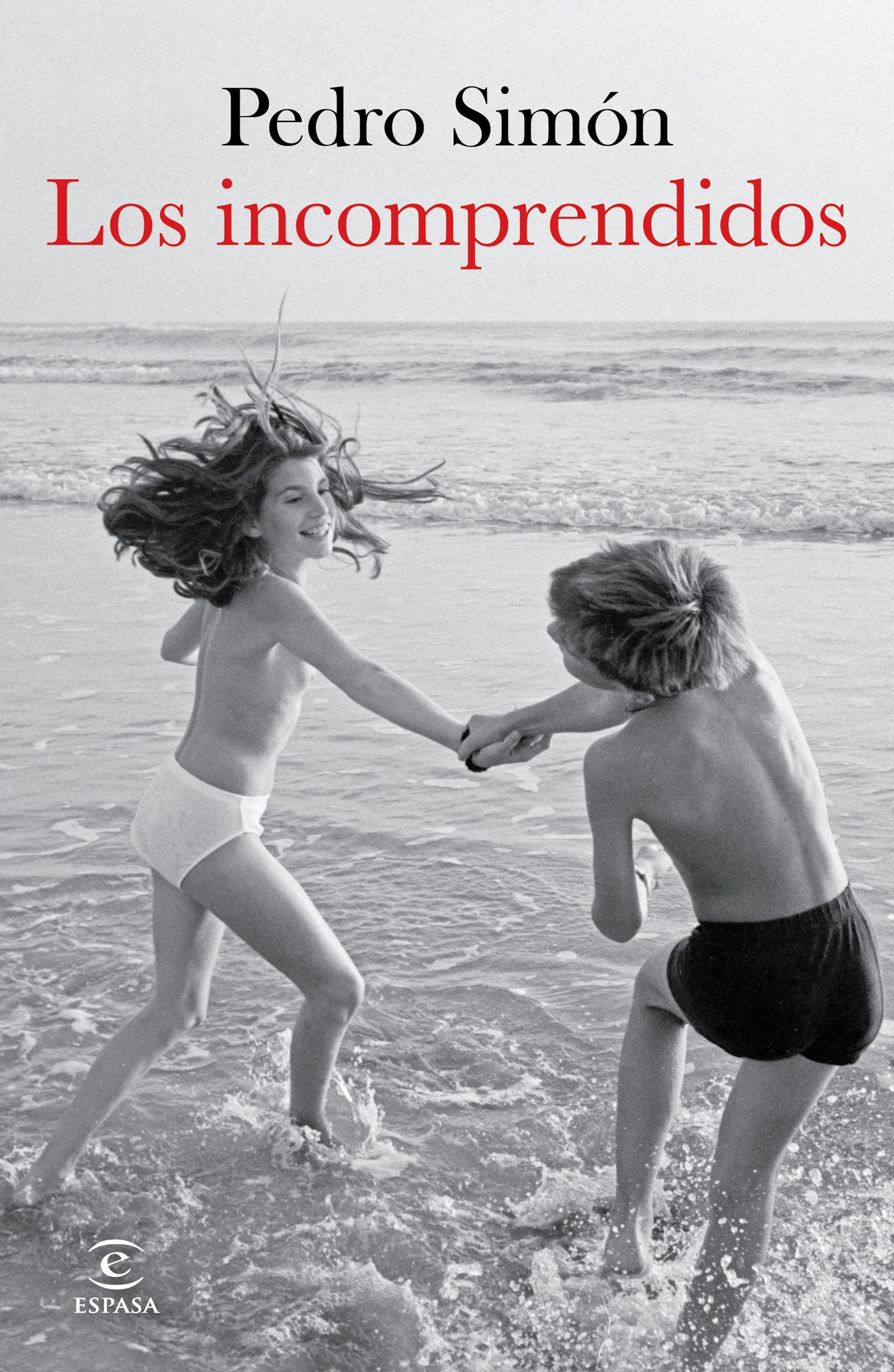 Cover image for Los incomprendidos / The Ungrateful ISBN 9786073944755